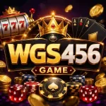 WGS456 Game
